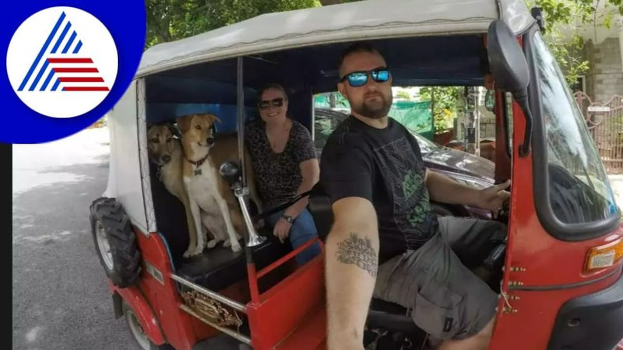 ಆಟೋದಲ್ಲಿ ಬೀದಿನಾಯಿಗಳ ಜಾಲಿ ರೈಡ್: ಶ್ವಾನಕ್ಕಾಗಿ ಆಟೋ ಖರೀದಿಸಿದ ಬೆಂಗಳೂರಿನ ದಂಪತಿ