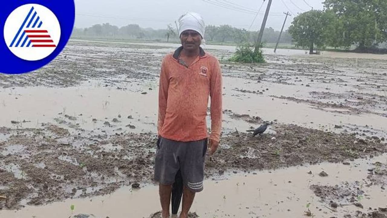 ಬೀದರ್‌: ನಿರಂತರ ಮಳೆಗೆ 118 ಮನೆಗಳು ಕುಸಿತ, ಹೊಲದಲ್ಲಿ ನೀರು ನಿಂತು ಬೆಳೆ ನಾಶ