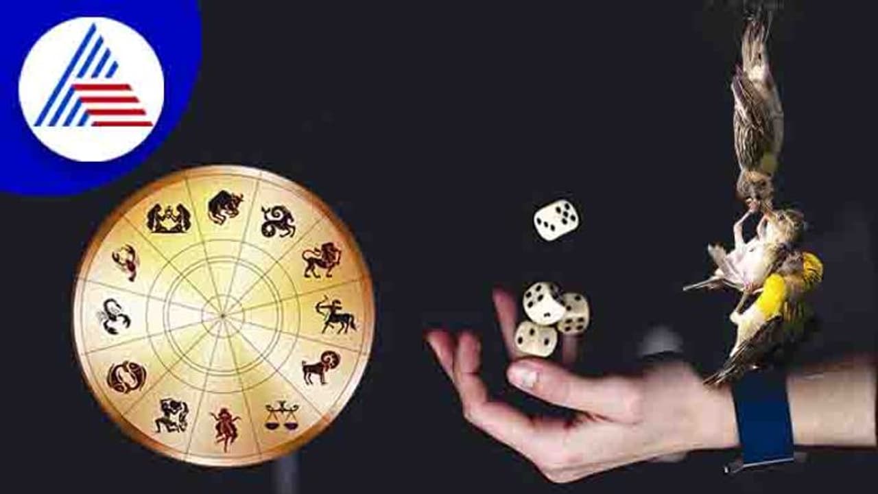 ದಿನ ಭವಿಷ್ಯ: ಒಂದು ರಾಶಿಯ ಕೌಟುಂಬಿಕ ಸಮಸ್ಯೆ ಇತ್ಯರ್ಥ, ಮತ್ತೊಂದರ ಹೂಡಿಕೆ ವ್ಯರ್ಥ ದಿನ ಭವಿಷ್ಯ: ಒಂದು ರಾಶಿಯ ಕೌಟುಂಬಿಕ ಸಮಸ್ಯೆ ಇತ್ಯರ್ಥ, ಮತ್ತೊಂದರ ಹೂಡಿಕೆ ವ್ಯರ್ಥ