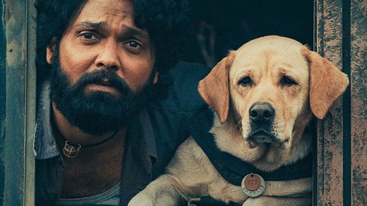 (Exclusive) 777 Charlie: Director Kiranraj K says 'Adopt, don't shop'; talks about high demands on Labrador (Exclusive) 777 Charlie: Director Kiranraj K says 'Adopt, don't shop'; talks about high demands on Labrador