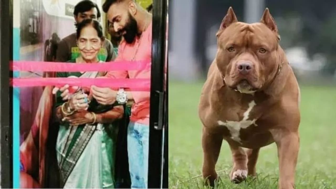 வீட்டில் தனியாக இருந்த உரிமையாளரையே கொன்ற நாய் அதிர்ச்சி சம்பவம்!