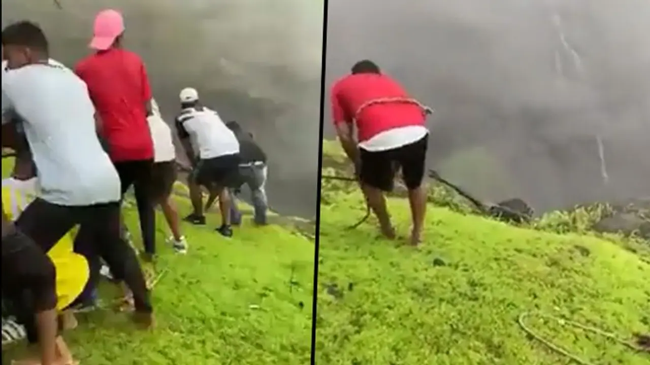 Brave youths rescued a calf stranded in a deep valley risking their lives: watch the video