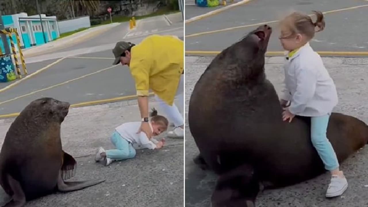 വീഡിയോയ്ക്കായി അതിസാഹസികത; കുഞ്ഞിന്റെ ജീവൻ വച്ച് കളിച്ചതിന് മാതാപിതാക്കള്ക്ക് വിമര്ശനം വീഡിയോയ്ക്കായി അതിസാഹസികത; കുഞ്ഞിന്റെ ജീവൻ വച്ച് കളിച്ചതിന് മാതാപിതാക്കള്ക്ക് വിമര്ശനം