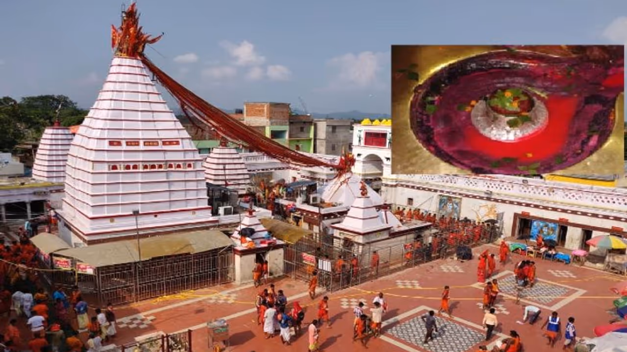 बाबा बैजनाथ के बाद बासुकीनाथ का सर्वाधिक महत्व, उनके दर्शन के बिना अधूरी है बाबा की पूजा बाबा बैजनाथ के बाद बासुकीनाथ का सर्वाधिक महत्व, उनके दर्शन के बिना अधूरी है बाबा की पूजा