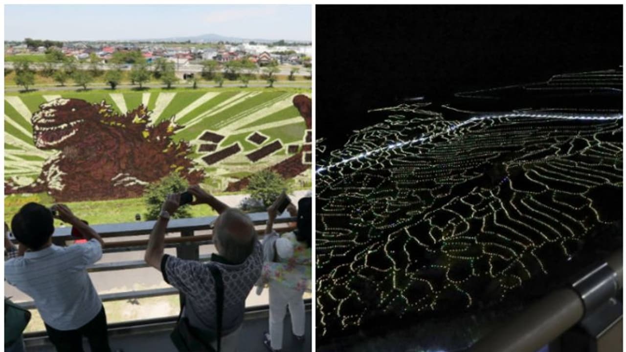 അഗ്രി ടൂറിസത്തിന്‍റെ അനന്ത സാധ്യതകള്‍ കാണാം..! തിരിച്ചടികളെ നേരിട്ട് വിപ്ലവം രചിച്ച് ജപ്പാന്‍ വിളിക്കുന്നു