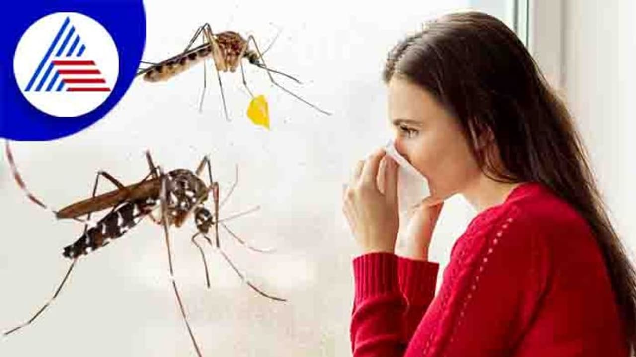 மழைக்காலம் தொடங்கியாச்சு.. பல நோய்கள் ஏற்படலாம்.. கண்டிப்பா இதெல்லாம் ஃபாலோ பண்ணுங்க..