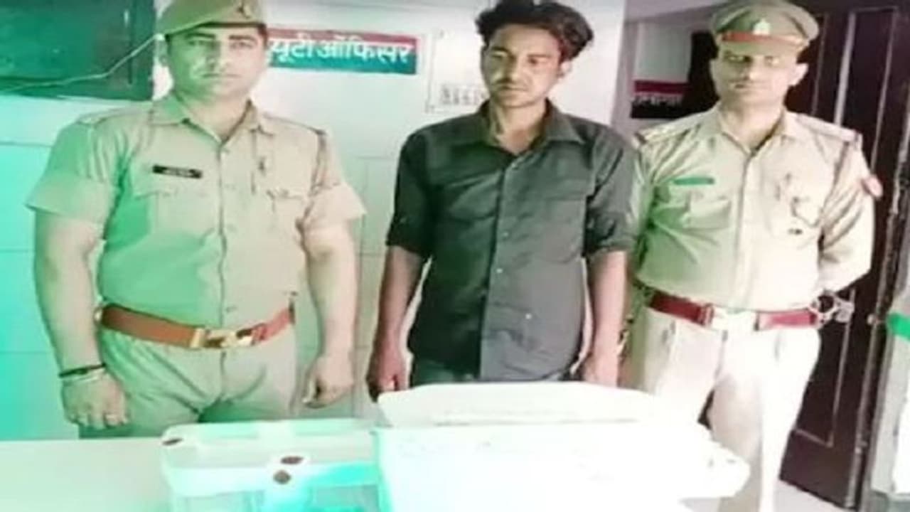 30 दिन यूट्यूब पर की पढ़ाई और फिर नोट छापने लगा 8वीं पास युवक, डील फेल होते ही पहुंच गया जेल 30 दिन यूट्यूब पर की पढ़ाई और फिर नोट छापने लगा 8वीं पास युवक, डील फेल होते ही पहुंच गया जेल