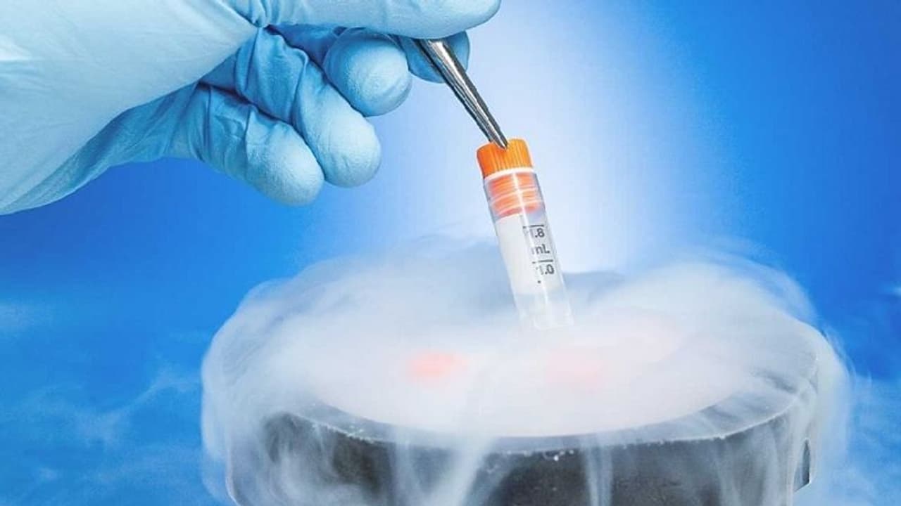 तमिलनाडु के 4 अस्पतालों में हो रहा था लड़कियों के Eggs का सौदा, मां ने बेटी को किया मजबूर