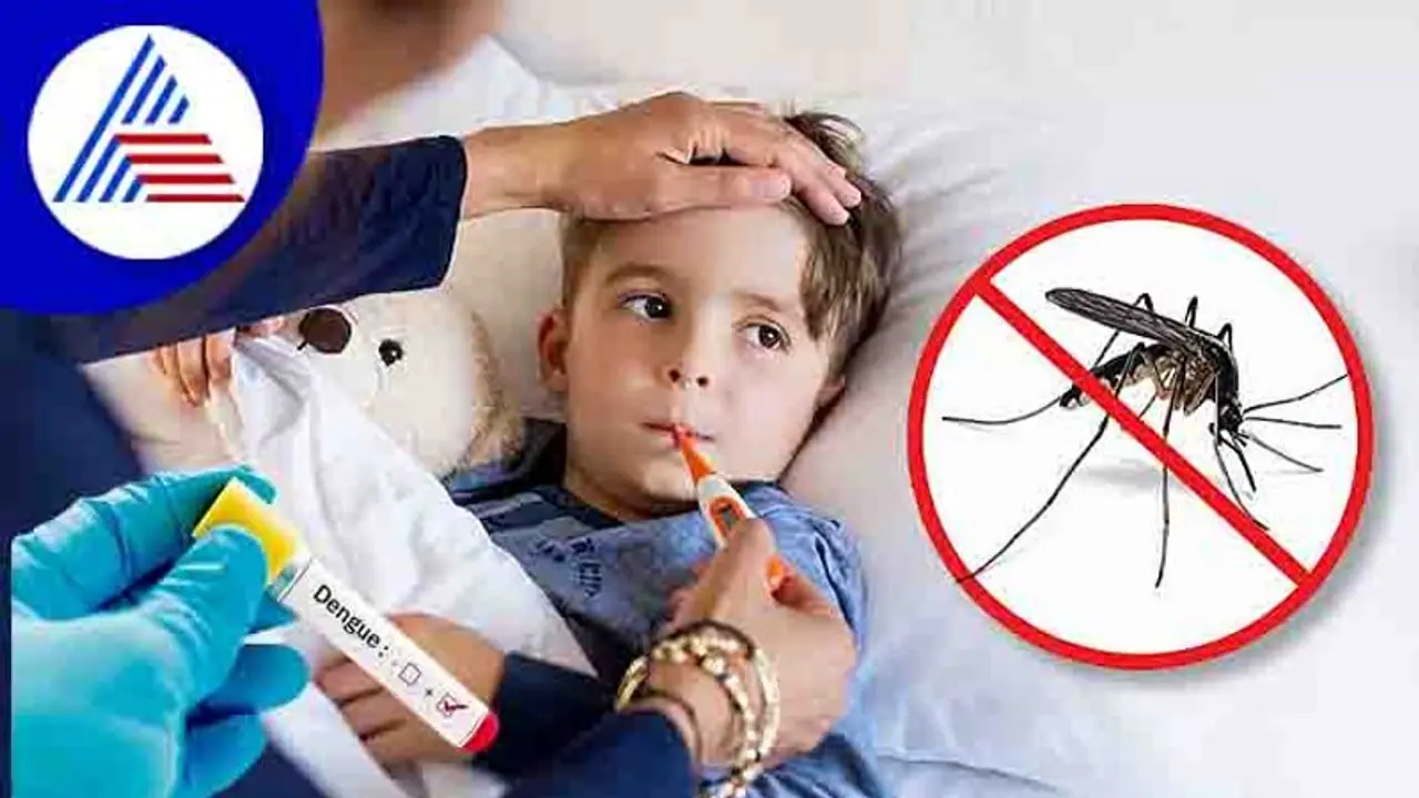 அதிகரித்து வரும் டெங்கு: கொசுக்களிடமிருந்து உங்கள் குழந்தைகளை எப்படி பாதுகாப்பது?