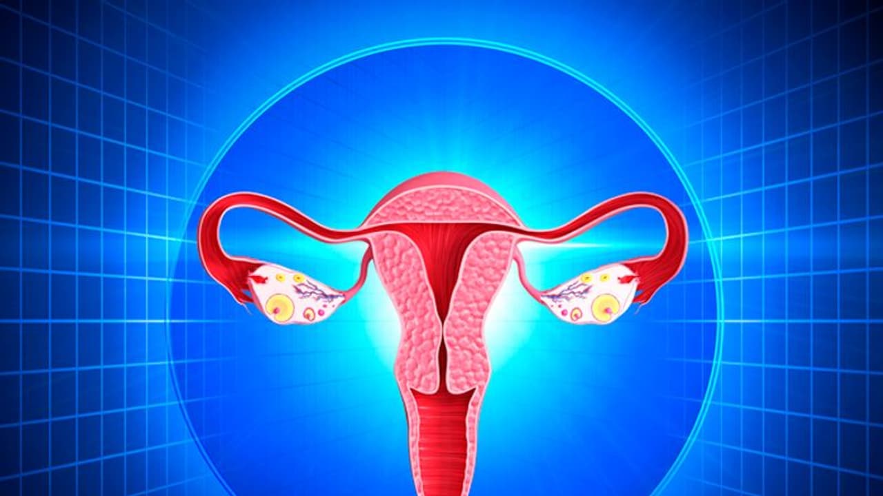 25,000 രൂപയ്ക്ക് 16 വയസ്സുകാരിയുടെ അണ്ഡവില്പ്പന, കേരളത്തിലെ ഒരാശുപത്രിക്കും പങ്കെന്ന് റിപ്പോര്ട്ട് 25,000 രൂപയ്ക്ക് 16 വയസ്സുകാരിയുടെ അണ്ഡവില്പ്പന, കേരളത്തിലെ ഒരാശുപത്രിക്കും പങ്കെന്ന് റിപ്പോര്ട്ട്