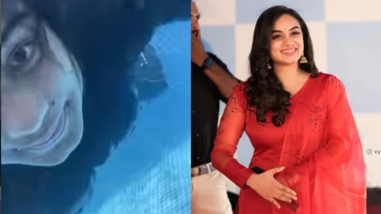 'പൂള് വൈബു'മായി ലക്ഷ്മി നക്ഷത്ര, രസകരമായ പ്രതികരണങ്ങളുമായി ആരാധകരും 'പൂള് വൈബു'മായി ലക്ഷ്മി നക്ഷത്ര, രസകരമായ പ്രതികരണങ്ങളുമായി ആരാധകരും