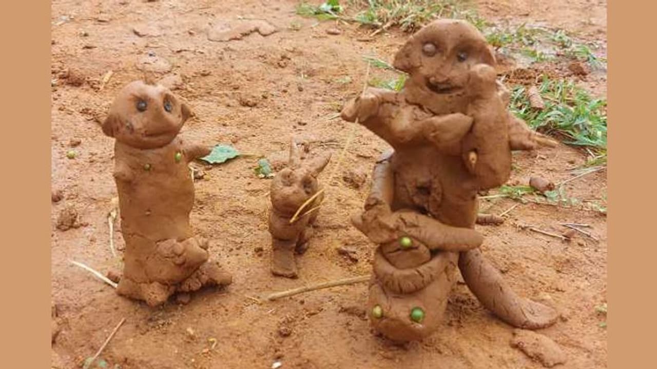 झारखंड के चाईबासा में गंभीर बीमारी से बचने के लिए की जाती है अनोखी पूजा झारखंड के चाईबासा में गंभीर बीमारी से बचने के लिए की जाती है अनोखी पूजा