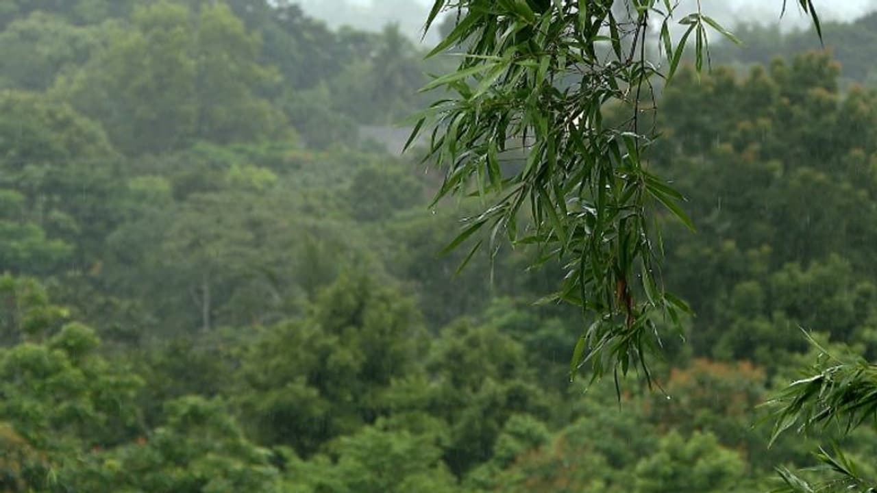 കണ്ണൂർ ചെറുപുഴ കാനംവയലിൽ ഉരുൾപൊട്ടൽ, ഫയർഫോഴ്സ് സ്ഥലത്തെത്തി