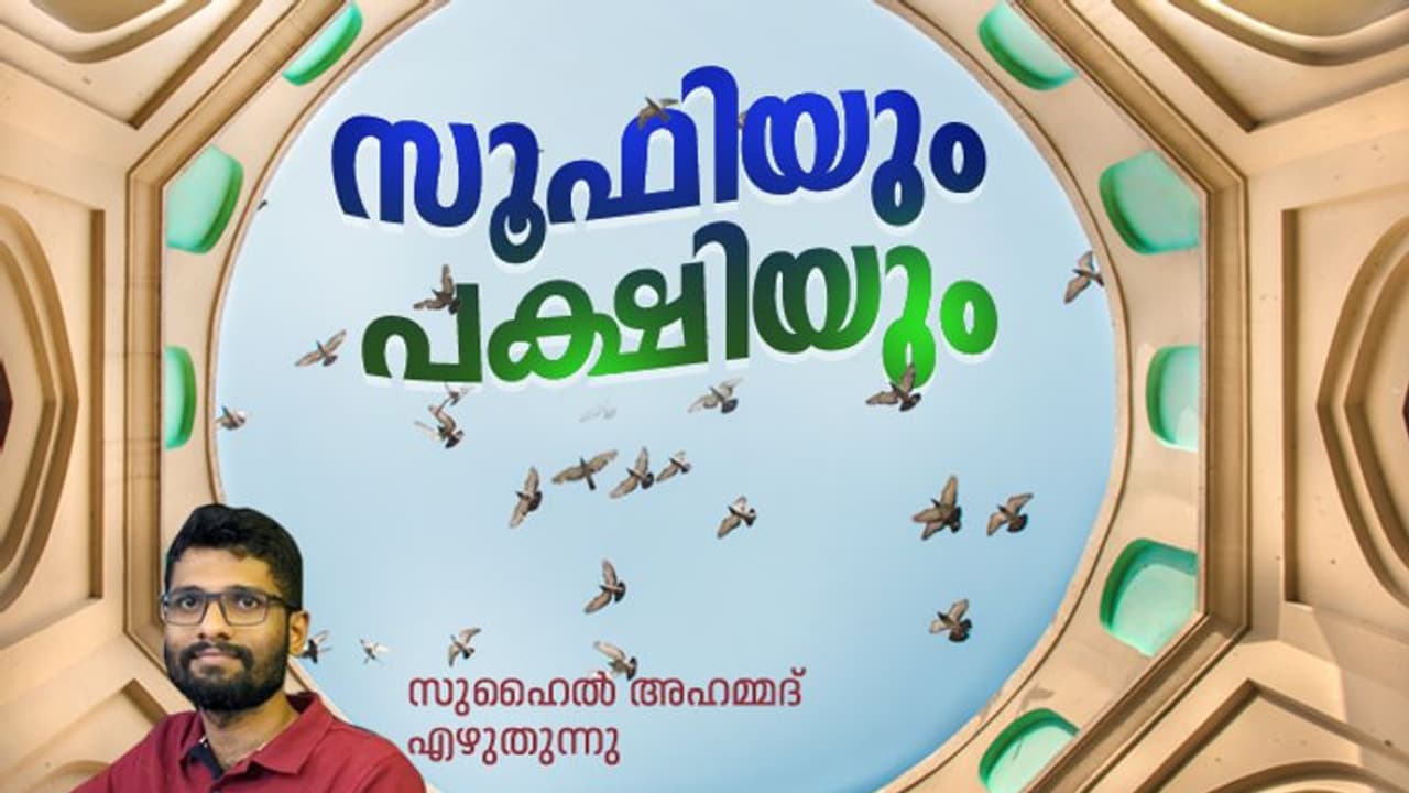 Spirituality : സൂഫികള്‍ക്ക് എന്താണ് പക്ഷികളോട് ഇത്ര പ്രണയം? 
