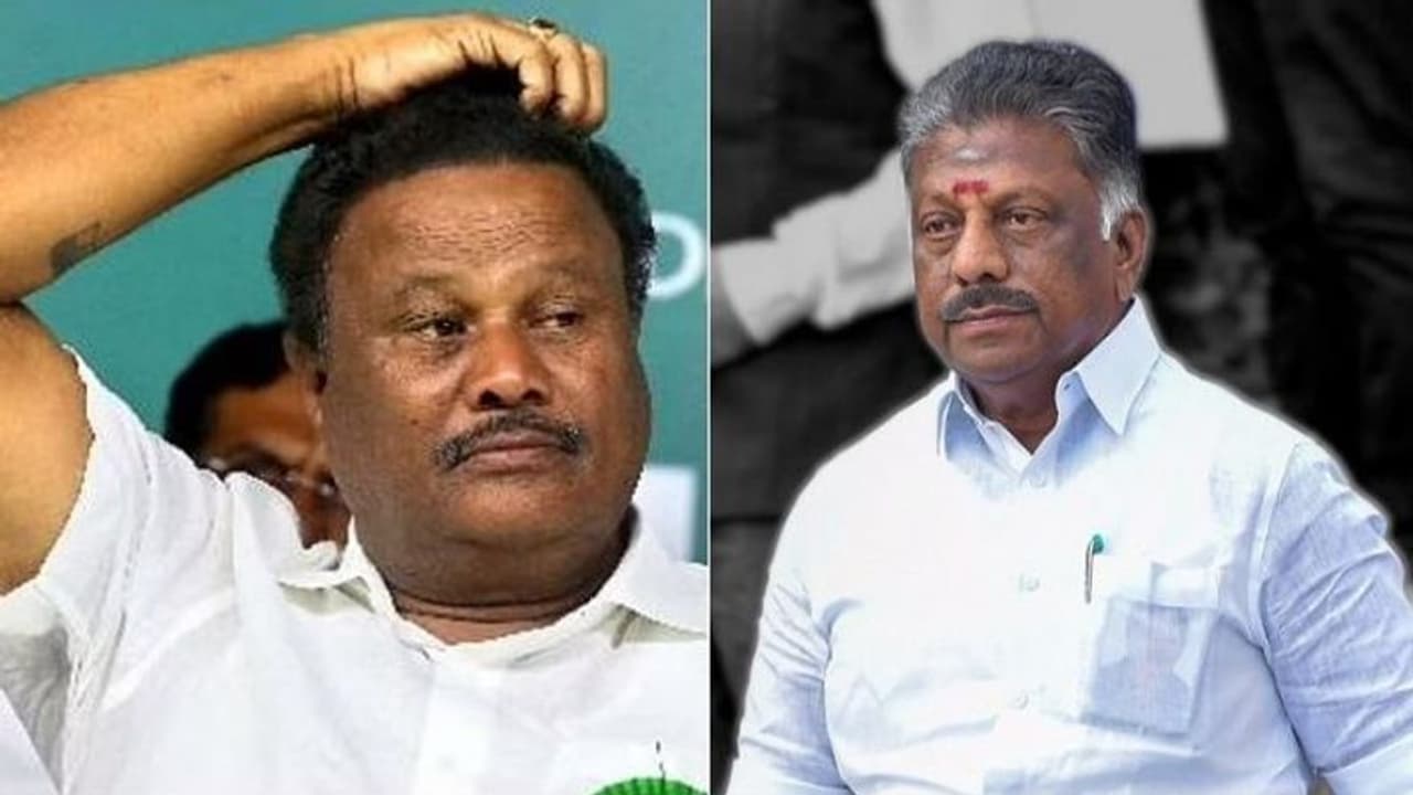 பாவம் அவங்க.. எப்போ ஜெயிப்பாங்களோ? ஓபிஎஸ் தரப்பை கிழித்த திண்டுக்கல் சீனிவாசன்