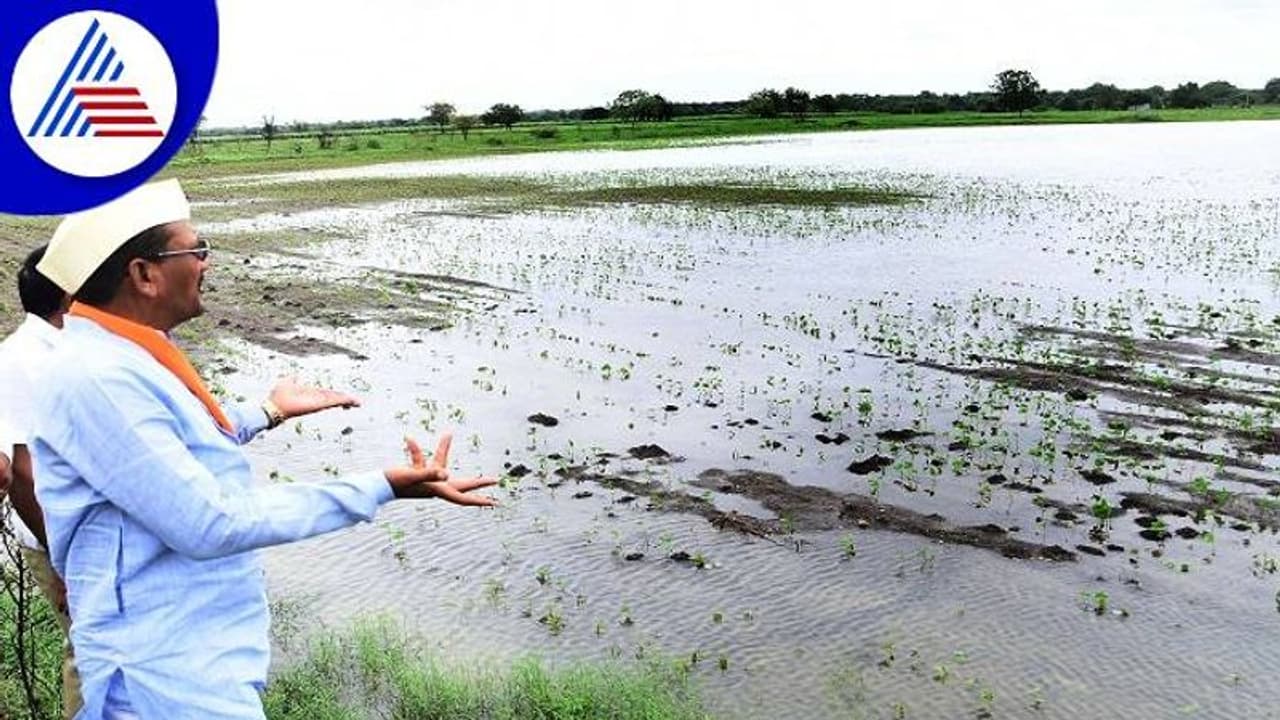 ಬೀದರ್: ಸಂತ್ರಸ್ತರೊಂದಿಗೆ ಸರ್ಕಾರವಿದೆ, ಪ್ರಭು ಚವ್ಹಾಣ್ ಅಭಯ ಬೀದರ್: ಸಂತ್ರಸ್ತರೊಂದಿಗೆ ಸರ್ಕಾರವಿದೆ, ಪ್ರಭು ಚವ್ಹಾಣ್ ಅಭಯ