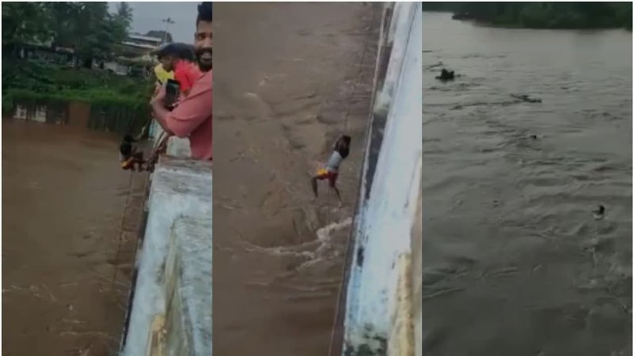 കുത്തിയൊലിക്കുന്ന പുഴയില് ചാടി മരത്തടി പിടുത്തം; മലപ്പുറത്തെ 'മുള്ളൻകൊല്ലി വേലായുധൻമാർ'ക്കെതിരെ പൊലീസ് കുത്തിയൊലിക്കുന്ന പുഴയില് ചാടി മരത്തടി പിടുത്തം; മലപ്പുറത്തെ 'മുള്ളൻകൊല്ലി വേലായുധൻമാർ'ക്കെതിരെ പൊലീസ്