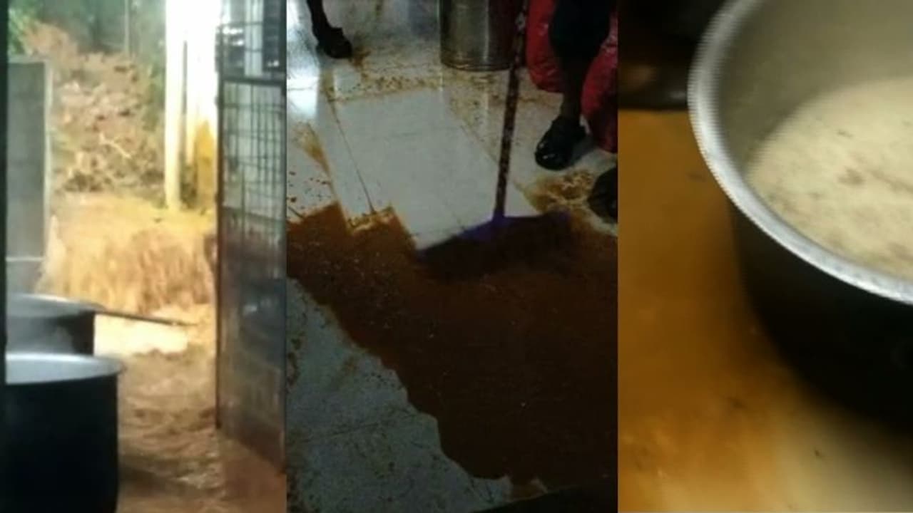 കോഴിക്കോട് മാവൂരിൽ വിവാഹ പാര്ട്ടിക്കിടെ ഓഡിറ്റോറിയത്തിൽ വെള്ളം കയറി; ഭക്ഷണമടക്കം നശിച്ചു കോഴിക്കോട് മാവൂരിൽ വിവാഹ പാര്ട്ടിക്കിടെ ഓഡിറ്റോറിയത്തിൽ വെള്ളം കയറി; ഭക്ഷണമടക്കം നശിച്ചു