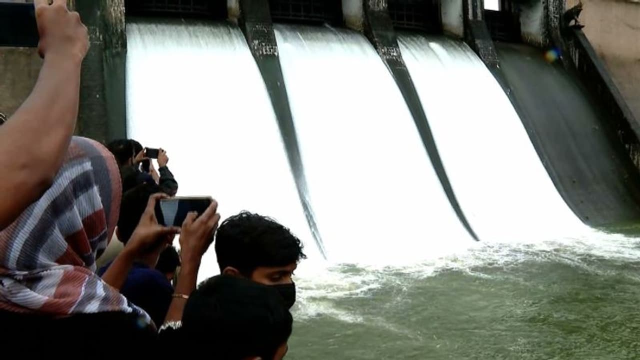 വൃഷ്ടി പ്രദേശത്ത് കനത്ത മഴ: മലമ്പുഴ ഡാം തുറന്നു, കൽപ്പാത്തിപ്പുഴയിലും ഭാരതപ്പുഴയിലും ജലനിരപ്പുയരും വൃഷ്ടി പ്രദേശത്ത് കനത്ത മഴ: മലമ്പുഴ ഡാം തുറന്നു, കൽപ്പാത്തിപ്പുഴയിലും ഭാരതപ്പുഴയിലും ജലനിരപ്പുയരും