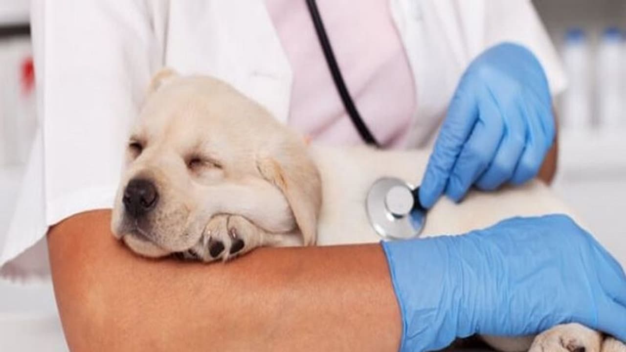 बुंदेलखंड को एक्सप्रेस वे के बाद जल्द ही मिलेगी एक और बड़ी सौगात, तेजी से जारी है तैयारी