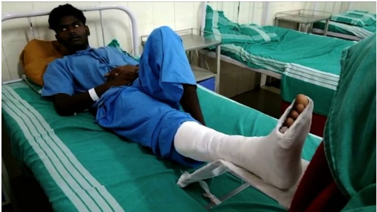 മൂടൽമഞ്ഞ് കാരണം കാട്ടാനയെ കണ്ടില്ല; തുമ്പിക്കയ്യില്‍ ചുറ്റിയെറിഞ്ഞു; യുവാവിന് പരിക്ക്