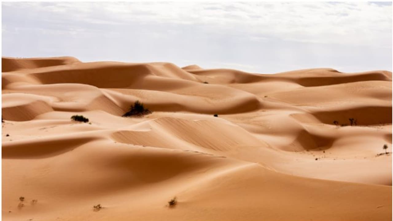 ഖത്തറില് ഇനി രണ്ടാഴ്ച ചൂടേറിയ വരണ്ട കാറ്റ് വീശും ഖത്തറില് ഇനി രണ്ടാഴ്ച ചൂടേറിയ വരണ്ട കാറ്റ് വീശും