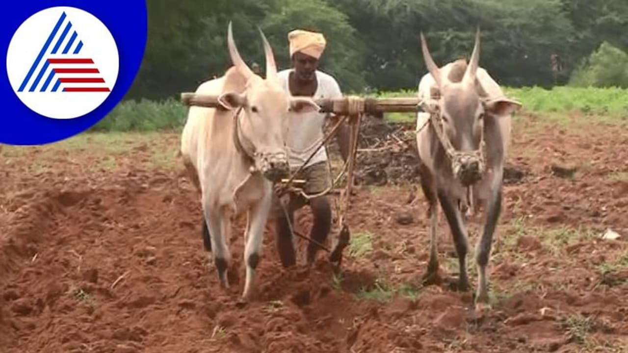 కనీస మద్దతు ధర కోసం ప్రత్యేక ప్యానెల్‌ ఏర్పాటు చేసిన కేంద్రం.. సంయుక్త కిసాన్ మోర్చా నుంచి ముగ్గురు సభ్యులు!