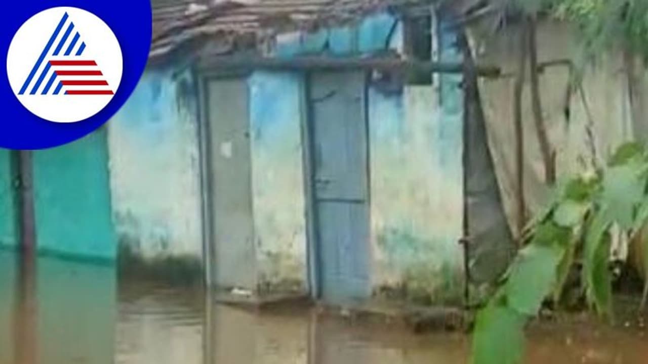 Davanagere: ತುಂಗಾಭದ್ರಾ ಪ್ರವಾಹಕ್ಕೆ ಸಿಲುಕಿದ ಗಂಗಾನಗರ ನಿವಾಸಿಗಳ ಬದುಕು! Davanagere: ತುಂಗಾಭದ್ರಾ ಪ್ರವಾಹಕ್ಕೆ ಸಿಲುಕಿದ ಗಂಗಾನಗರ ನಿವಾಸಿಗಳ ಬದುಕು!