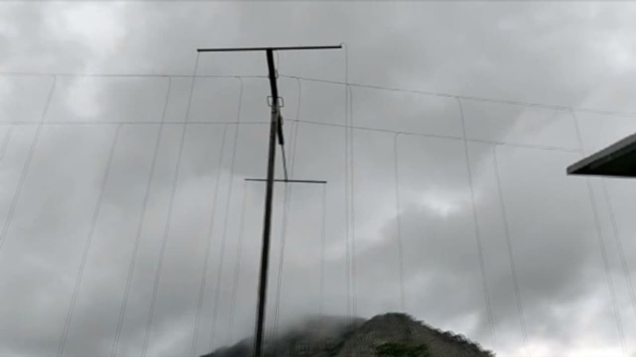 കാട്ടാനശല്യം തടയാൻ വാളയാറില്‍ സോളാര്‍ തൂക്കുവേലി; 24 മണിക്കൂറും വൈദ്യുതി കടത്തിവിടും