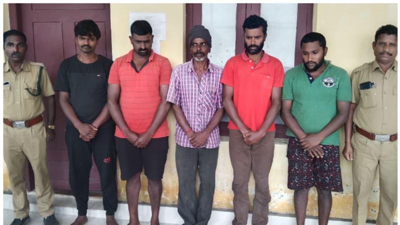 പരിക്കേറ്റ കാട്ടുപോത്തിന്റെ ഇറച്ചി മുറിച്ചുകടത്താൻ ശ്രമം; അഞ്ച് പേർ അറസ്റ്റിൽ, 150 കിലോ ഇറച്ചി കണ്ടെടുത്തു പരിക്കേറ്റ കാട്ടുപോത്തിന്റെ ഇറച്ചി മുറിച്ചുകടത്താൻ ശ്രമം; അഞ്ച് പേർ അറസ്റ്റിൽ, 150 കിലോ ഇറച്ചി കണ്ടെടുത്തു