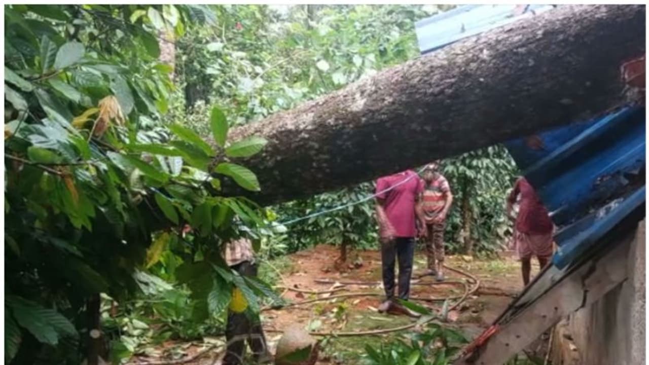 2175 ಹೆಕ್ಟೇರ್‌ ಬೆಳೆ ಹಾನಿ: 15 ದಿನಗಳ ಬಿರುಮಳೆಯಿಂದ ಭಾರೀ ಅನಾಹುತ
