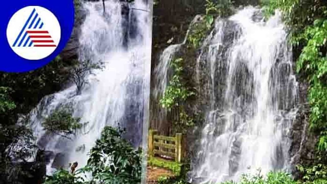 ಮಳೆಯ ಅಬ್ಬರಕ್ಕೆ ಮತ್ತೆ ಮೈದುಂಬಿದ ಕರಿಕೆ ಜಲಪಾತಗಳು