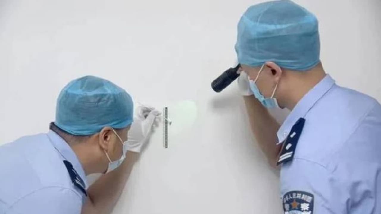 കള്ളനെ പിടികൂടാൻ സഹായമായത് ചത്ത രണ്ട് കൊതുകുകൾ, സംഭവം ഇങ്ങനെ