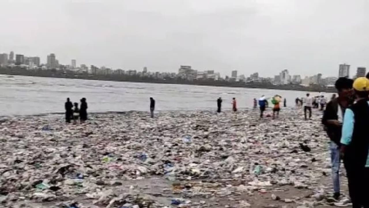 വലിച്ചെറിഞ്ഞതെല്ലാം തിരികെത്തരുന്ന കടൽ, വൈറലായി മുംബൈ ബീച്ചിലെ പ്ലാസ്റ്റിക് മാലിന്യങ്ങൾ വലിച്ചെറിഞ്ഞതെല്ലാം തിരികെത്തരുന്ന കടൽ, വൈറലായി മുംബൈ ബീച്ചിലെ പ്ലാസ്റ്റിക് മാലിന്യങ്ങൾ