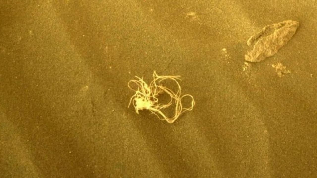 Object in the Mars: செவ்வாய் கிரகத்தில் நூடுல்ஸ் போன்ற பொருள்; நாசா விஞ்ஞானிகள் ஆச்சரியம்!!