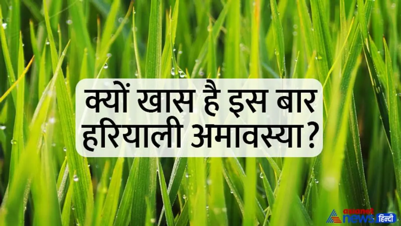 Hariyali Amavasya 2022 Date: कब मनाया जाएगा हरियाली अमावस्या पर्व, जानिए इस दिन कौन कौन से शुभ योग बनेंगे?