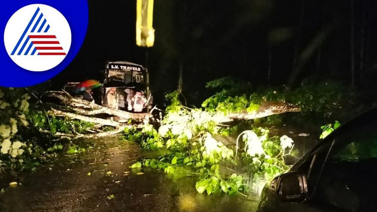 Chikkamagaluru: 16 ದಿನಗಳಿಂದ ಆರ್ಭಟಿಸಿದ್ದ ಮಳೆಗೆ ಓರ್ವ ಮಹಿಳೆ ಬಲಿ, ಇಬ್ಬರು ನಾಪತ್ತೆ! Chikkamagaluru: 16 ದಿನಗಳಿಂದ ಆರ್ಭಟಿಸಿದ್ದ ಮಳೆಗೆ ಓರ್ವ ಮಹಿಳೆ ಬಲಿ, ಇಬ್ಬರು ನಾಪತ್ತೆ!