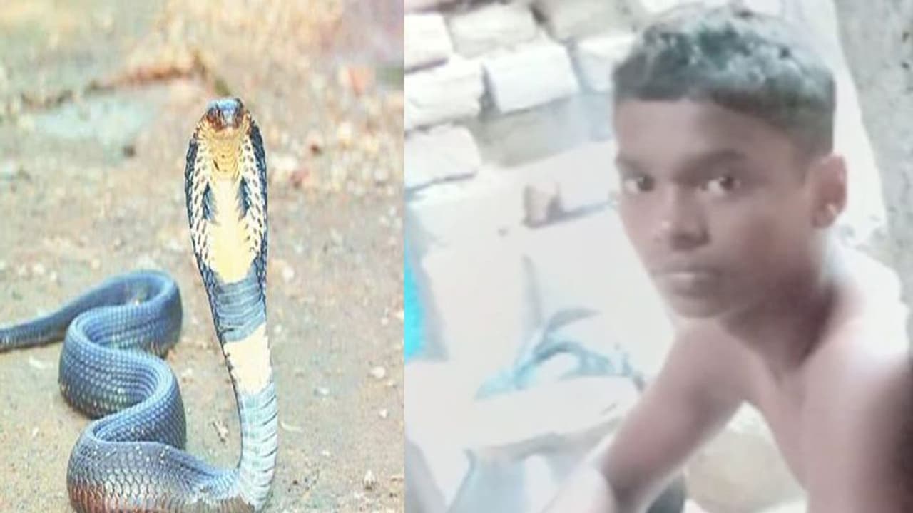 बिहार में अनोखा मामला: इस बच्चे को बार बार काटता है सांप, ग्रामीणों ने जो बात बताई वो कर देगी हैरान बिहार में अनोखा मामला: इस बच्चे को बार बार काटता है सांप, ग्रामीणों ने जो बात बताई वो कर देगी हैरान