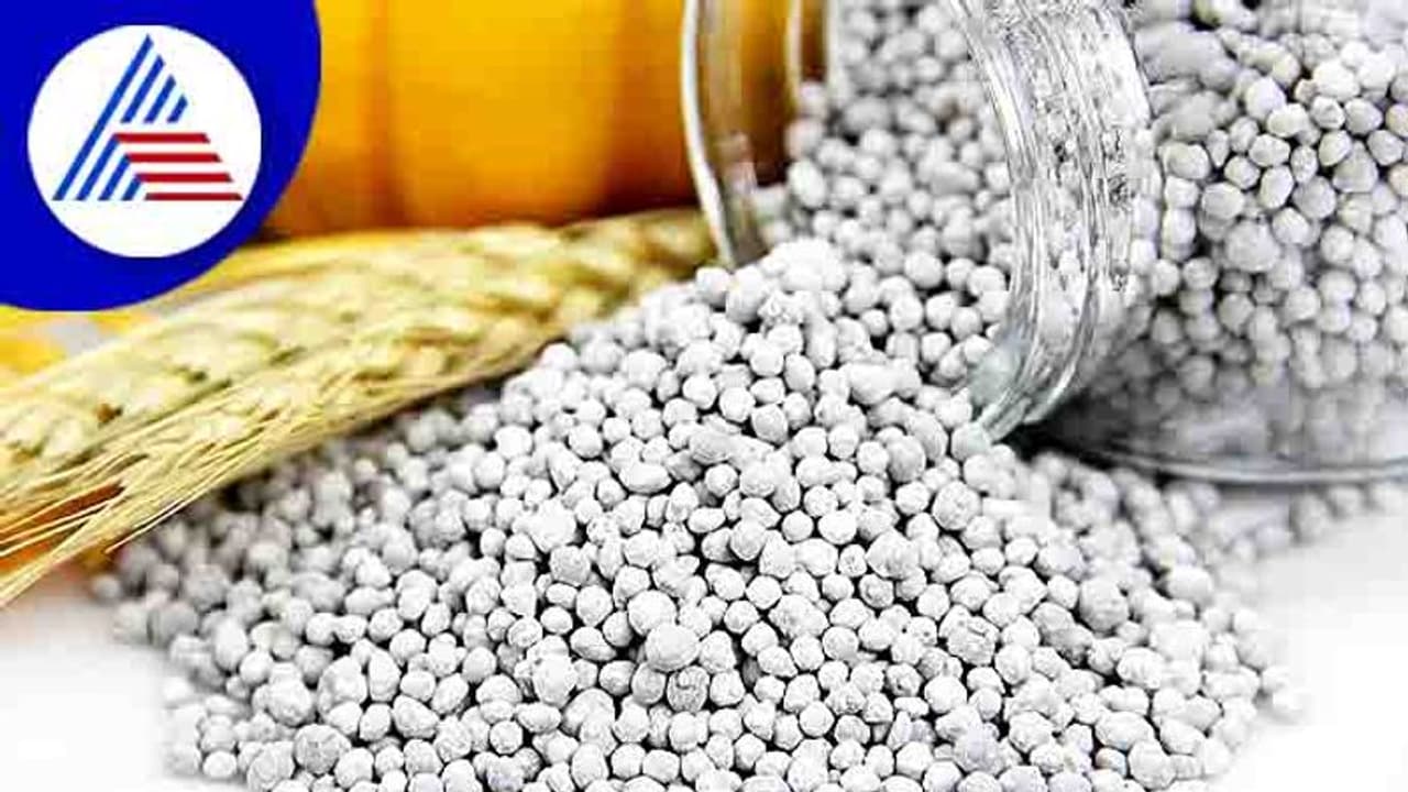 Mysuru : ಭಾರೀ ಪ್ರಮಾಣದ ಅಕ್ರಮ ರಸಗೊಬ್ಬರ ಪೊಲೀಸರ ವಶಕ್ಕೆ Mysuru : ಭಾರೀ ಪ್ರಮಾಣದ ಅಕ್ರಮ ರಸಗೊಬ್ಬರ ಪೊಲೀಸರ ವಶಕ್ಕೆ