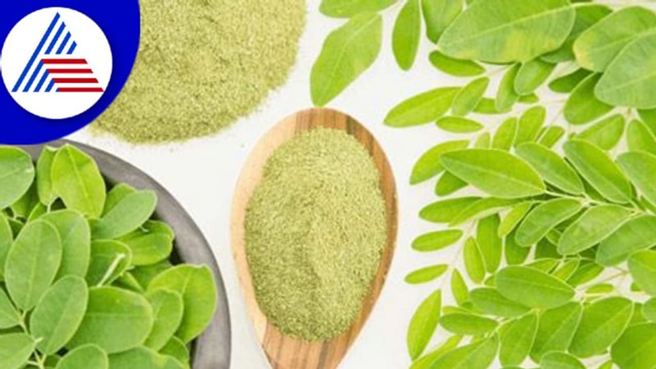 ಮಳೆಗಾಲದಲ್ಲಿ ಪುರುಷರು ನುಗ್ಗೇಸೊಪ್ಪು ತಿಂದ್ರೆ ಒಳ್ಳೇದಂತೆ