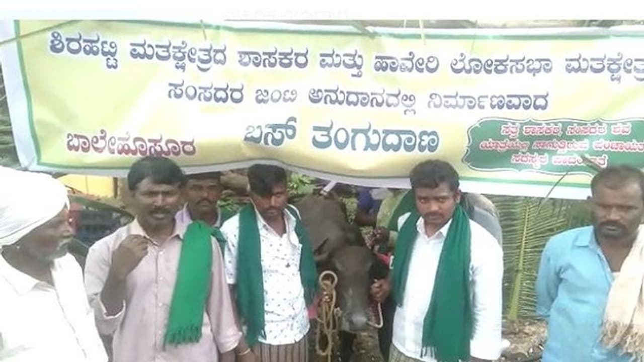 Gadag 'ಬಸ್ ನಿಲ್ದಾಣ'ದ ಉದ್ಘಾಟನೆಗೆ MLA ಬದ್ಲು ಎಮ್ಮೆ ಚೀಫ್ ಗೆಸ್ಟ್..!