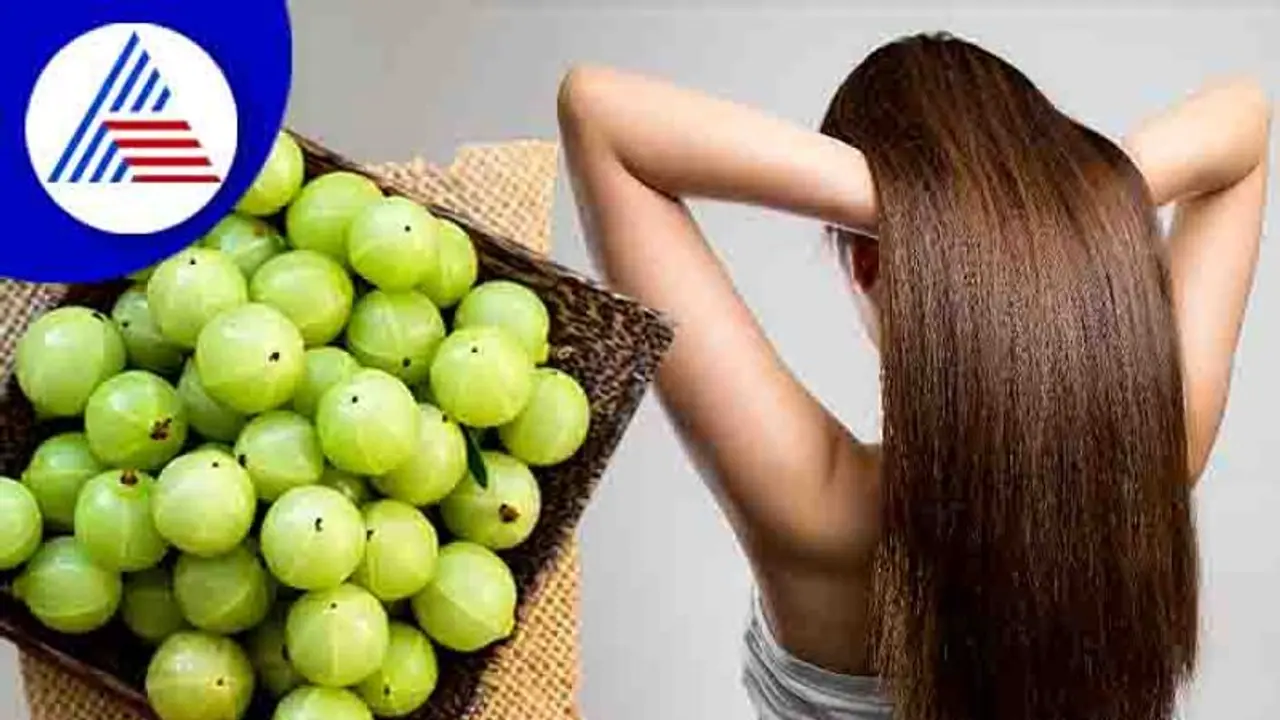 ನೆಲ್ಲಿಯಲ್ಲಿದೆ ಆರೋಗ್ಯ ಕೂದಲಿನ ಗುಟ್ಟು! ಹೀಗೆ ಮಾಡಿ ನೋಡಿ!