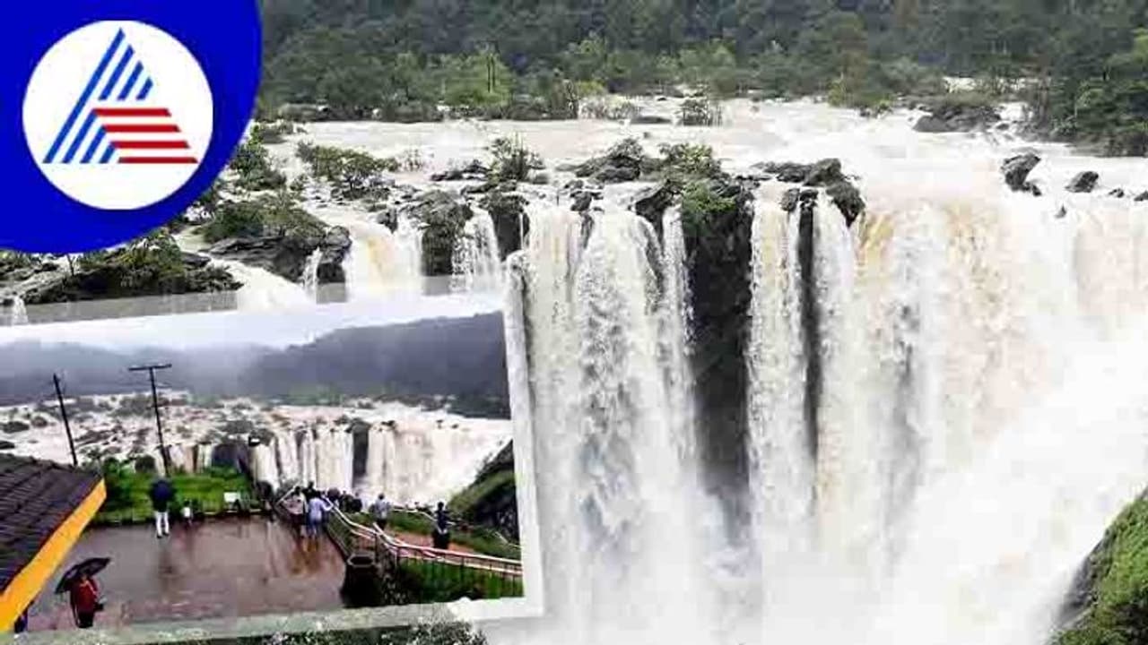 ಬೆಂಗಳೂರಿನಿಂದ ಜೋಗ ಜಲಪಾತಕ್ಕೆ ಕೆಎಸ್‌ಆರ್‌ಟಿಸಿ ಸ್ಪೆಷಲ್ ಪ್ಯಾಕೇಜ್‌ ಟೂರ್‌