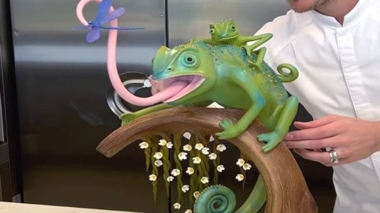 गिरगिट मां और बेटे का वीडियो सोशल मीडिया पर हुआ वायरल, यूजर्स ने पूछा क्या ये रंग भी बदलते हैं गिरगिट मां और बेटे का वीडियो सोशल मीडिया पर हुआ वायरल, यूजर्स ने पूछा क्या ये रंग भी बदलते हैं