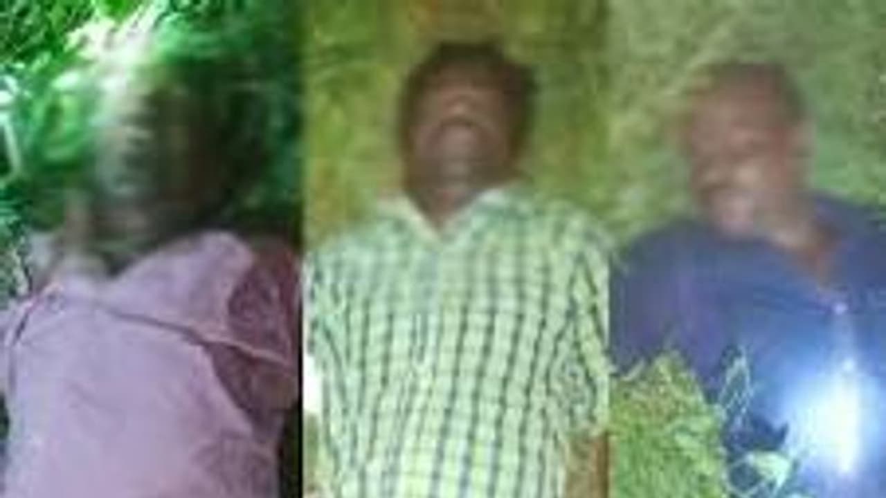 இரவோடு இரவாக முயல் வேட்டை.. மின்சார வேலியில் சிக்கி தூக்கி வீசப்பட்டு 3 பேர் பலி இரவோடு இரவாக முயல் வேட்டை.. மின்சார வேலியில் சிக்கி தூக்கி வீசப்பட்டு 3 பேர் பலி