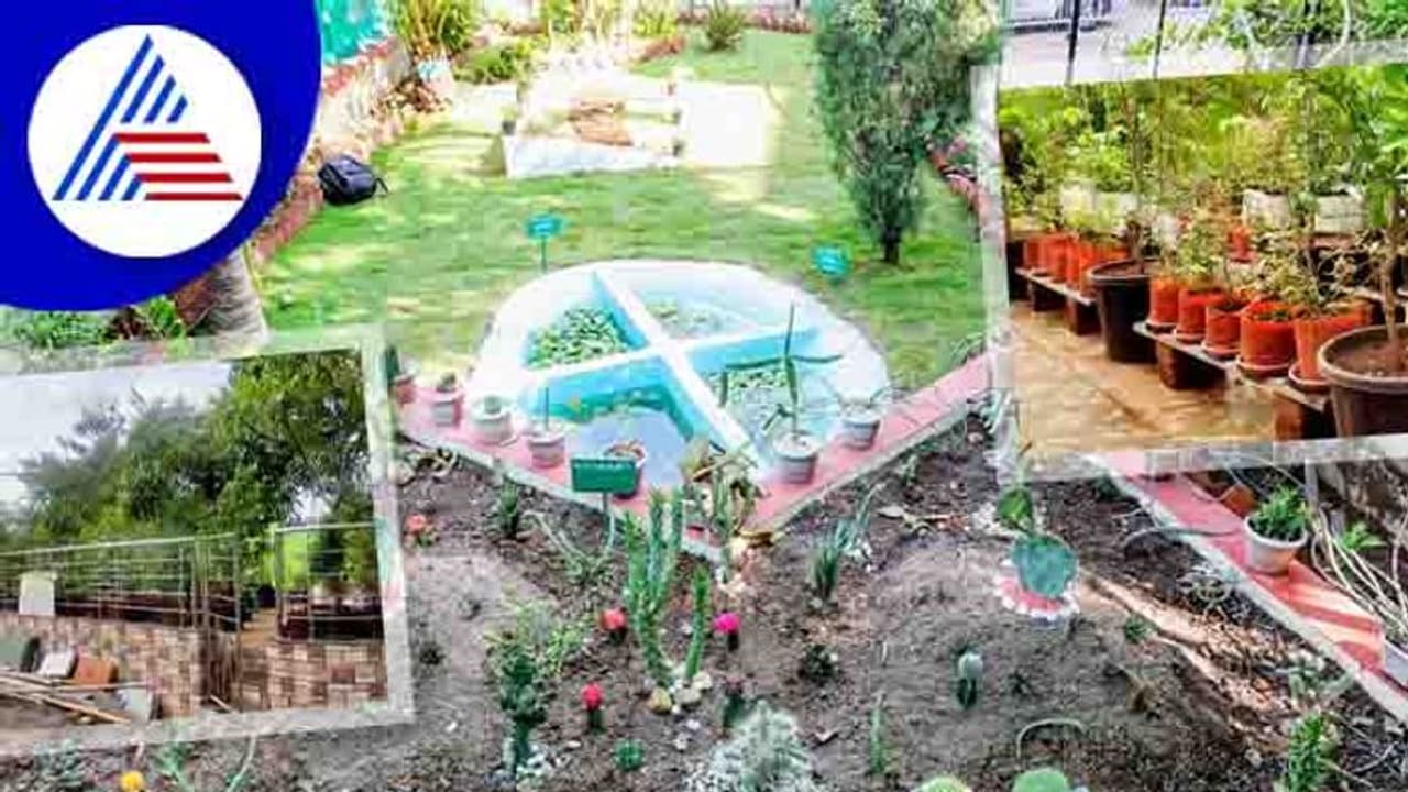 ತಾರಸಿ ತೋಟಕ್ಕೂ ಬಂತು ಕೋರ್ಸ್, ಇದೆ ಫುಲ್ ಡಿಮ್ಯಾಂ್