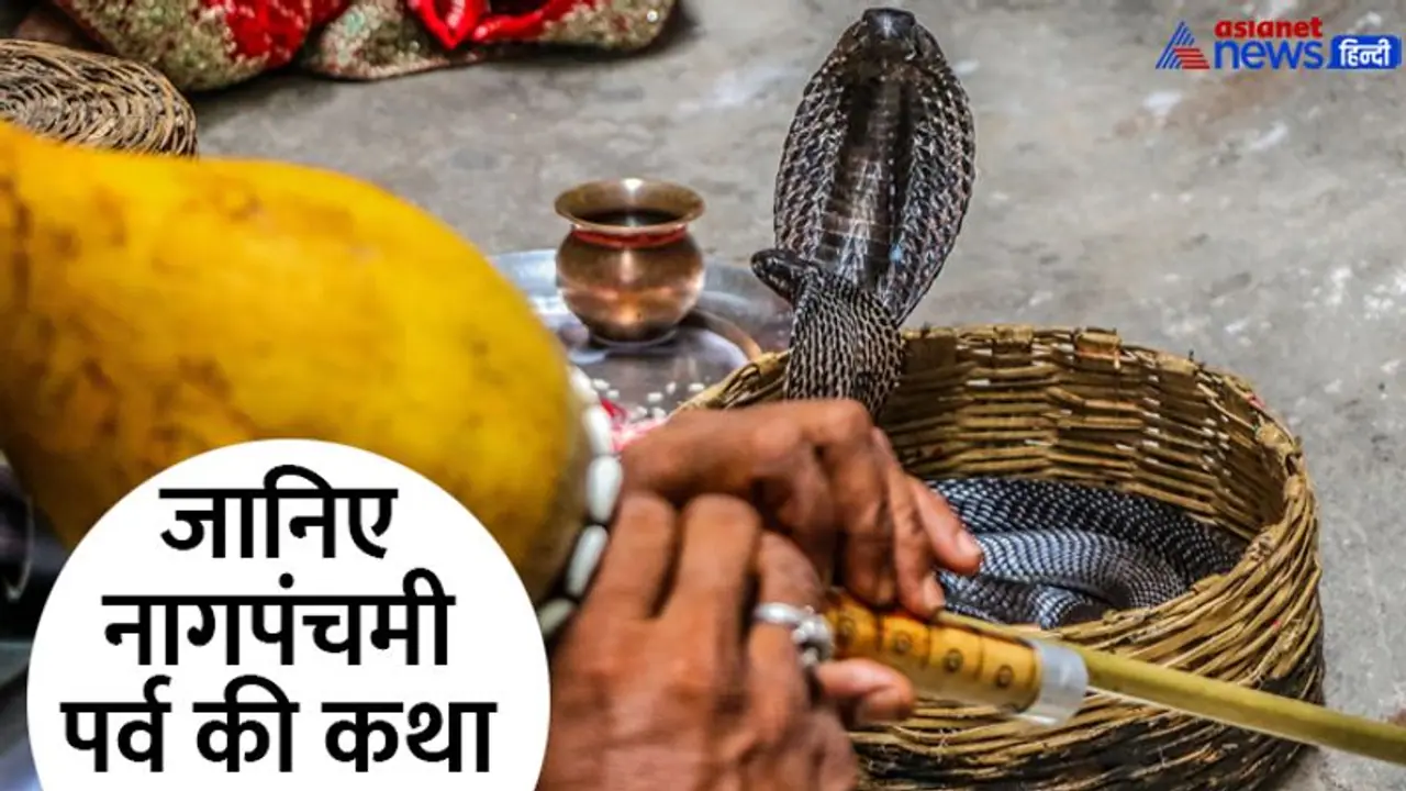 Nagpanchami 2022: इस बार कब है नागपंचमी, क्यों मनाते हैं पर्व, इस दिन कौन कौन से शुभ योग बनेंगे?