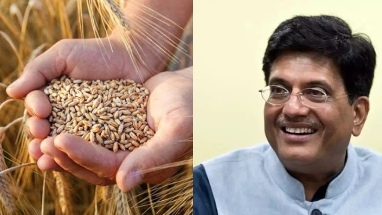 കേരളത്തിന്റെ ഗോതമ്പ് വിഹിതം വെട്ടിക്കുറച്ചത് സംസ്ഥാന സർക്കാർ അറിഞ്ഞെന്ന് കേന്ദ്രം കേരളത്തിന്റെ ഗോതമ്പ് വിഹിതം വെട്ടിക്കുറച്ചത് സംസ്ഥാന സർക്കാർ അറിഞ്ഞെന്ന് കേന്ദ്രം