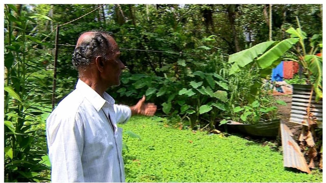 ഭൂരഹിതന് പതിച്ചു നല്‍കിയത് വെള്ളകെട്ടുള്ള വയല്‍: വീട്ടിലേക്ക് വഴിയായി നല്‍കിയത് തോട്, ദുരിത ജീവിതം