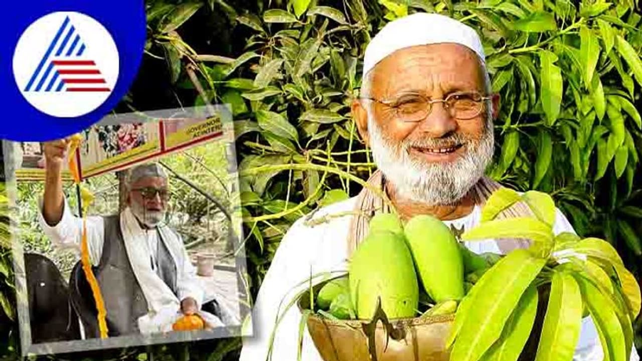 Mango Tree: ಒಂದೇ ಮರದಲ್ಲಿ 300 ಜಾತಿಯ ಮಾವಿನ ಹಣ್ಣು ಬೆಳೆದ ವ್ಯಕ್ತಿ!